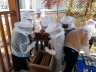 꿀벌이 날아드는 달콤한 도시, 도심양봉 프로젝트의 번째 이미지