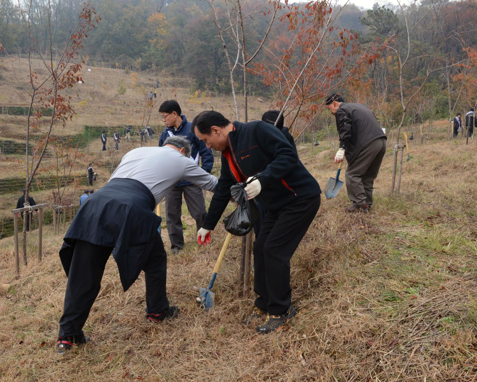 육림의날 행사에 참여한 고남석 연수구청장이 나무를 심는 모습
