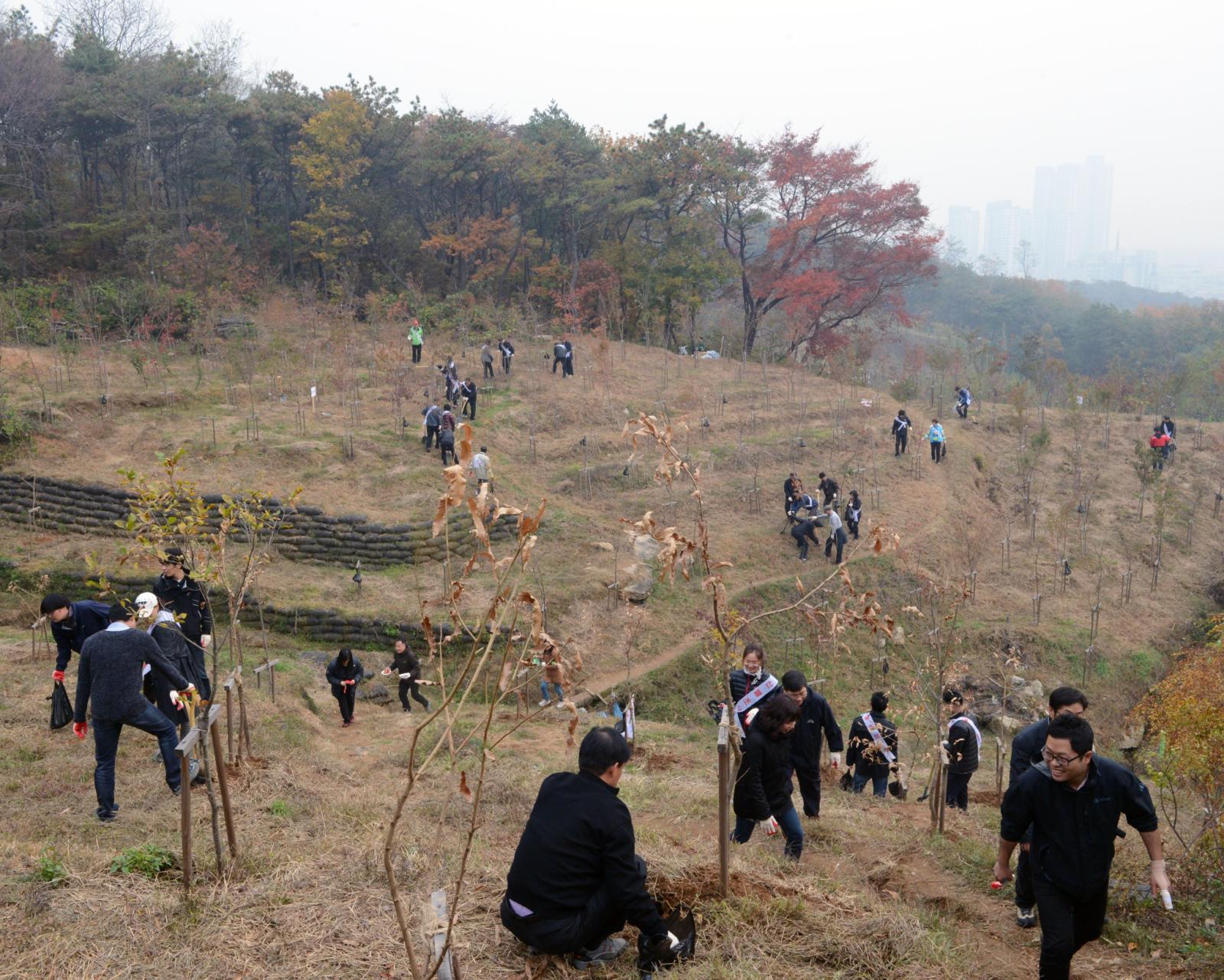 육림의날 행사 참여자들이 나무를 심는 모습