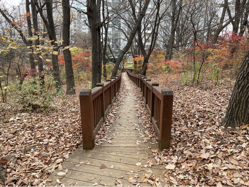 연수구는 기온 변화에 따라 안전사고 발생위험이 높아지는 해빙기를 맞아 각종 안전사고를 예방하고자 이달 말까지 ‘공원녹지 시설물 일제점검’을 시행한다.