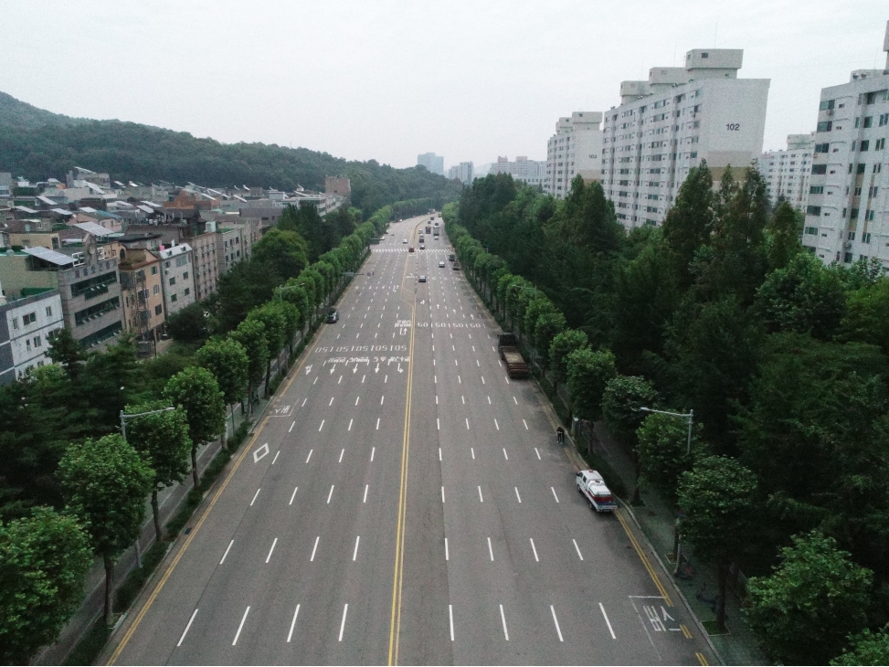 연수구, 사각형 모양 가로수 특화거리 조성사업 실시