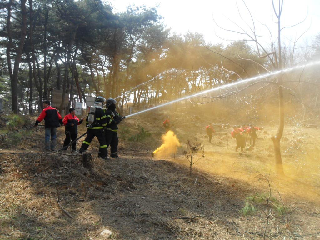 산불진화 합동 대응훈련 실시의 1번째 이미지